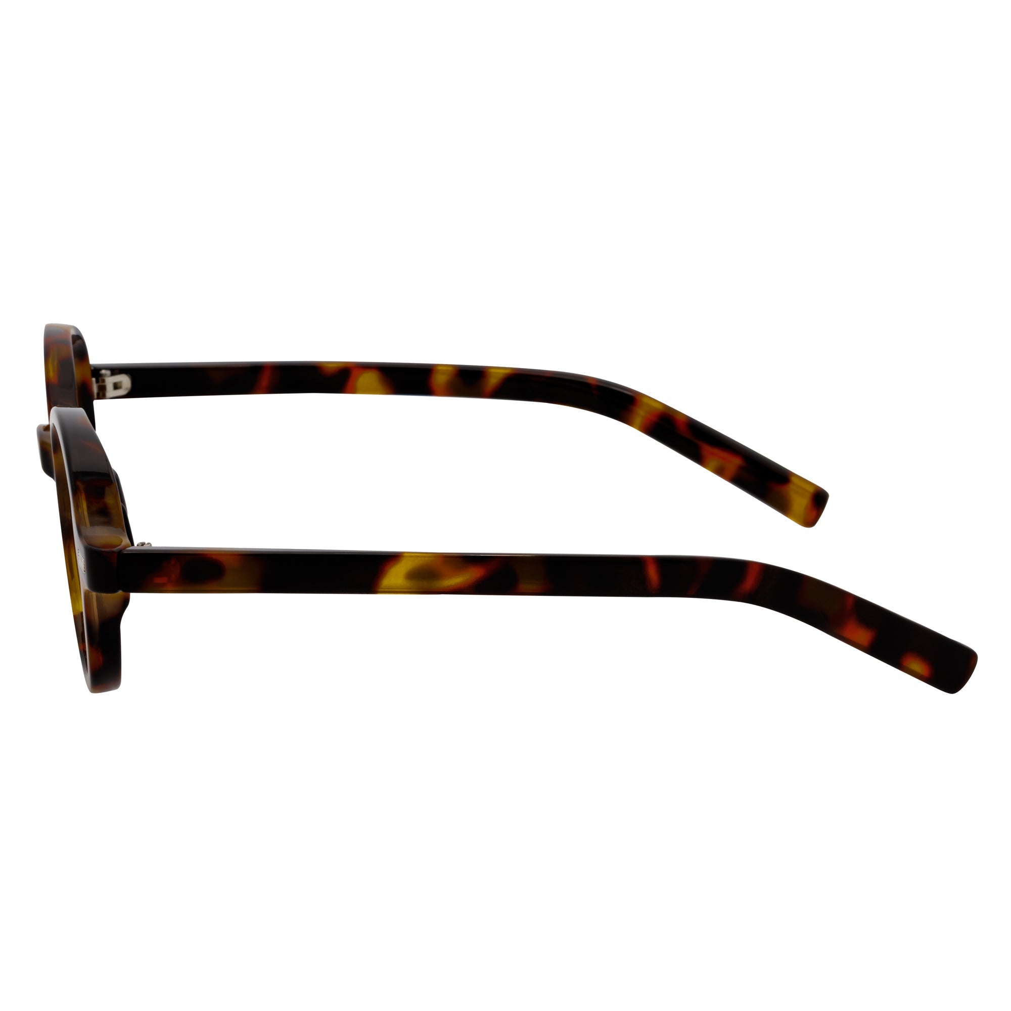 BARON - Small Round Sunglasses Tortoise Brown