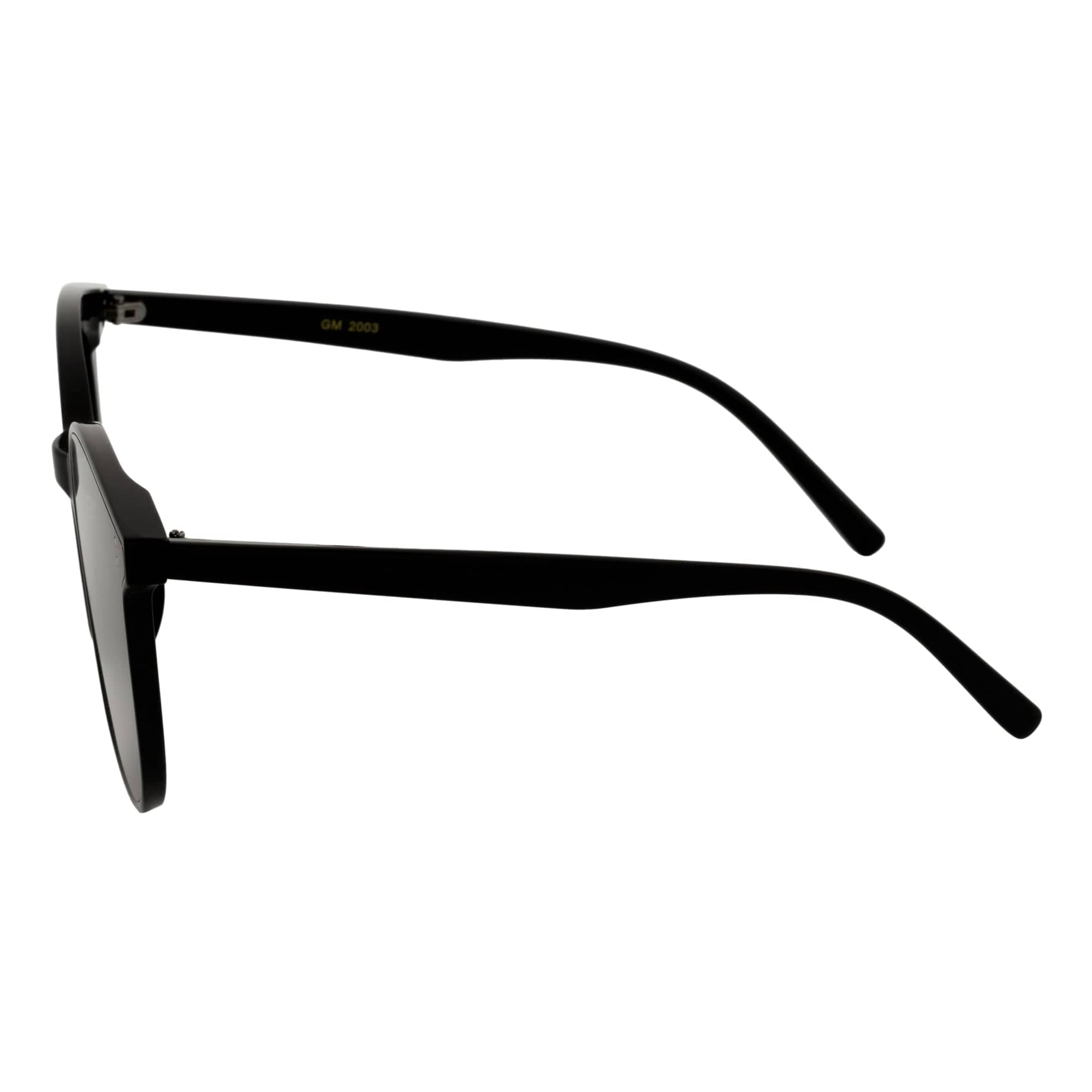 CIARA - Polarized Womens Oversize 2 Pin Cat Eye Sunglasses Black Smoke