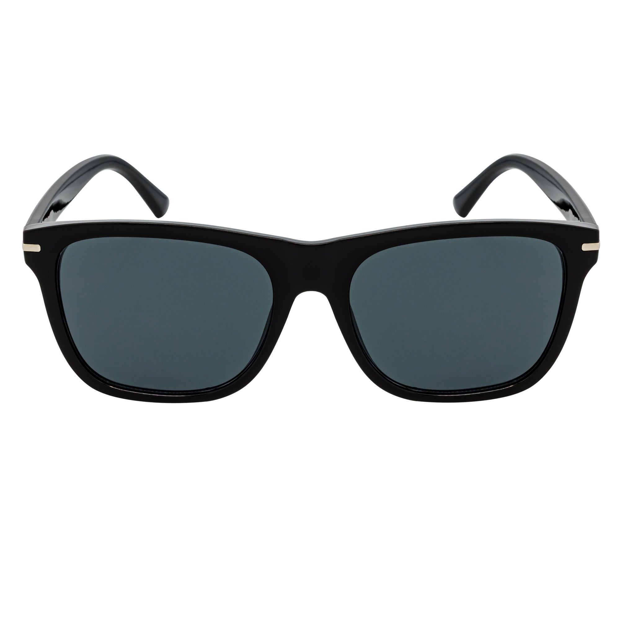 RHO - Classic Large Horn Rimmed Gloss Black Sunglasses Smoke Lens