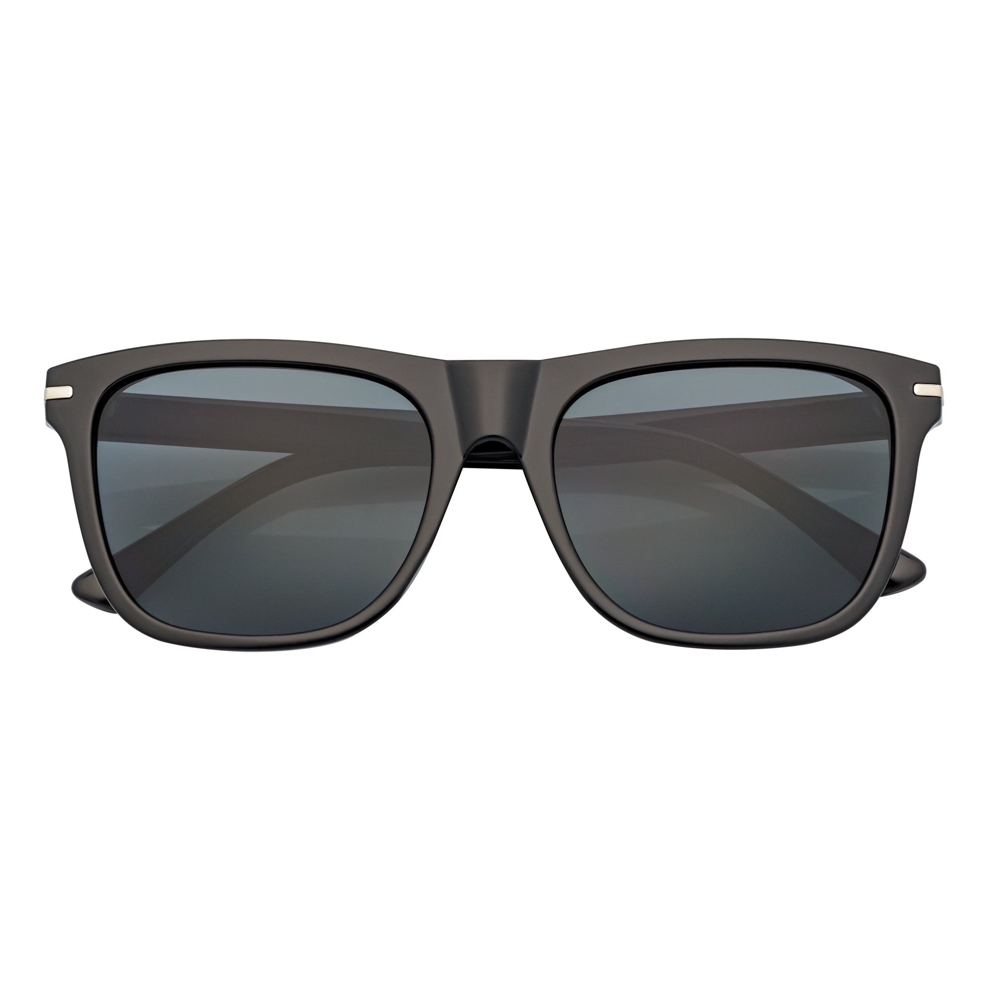 RHO - Classic Large Horn Rimmed Gloss Black Sunglasses Smoke Lens