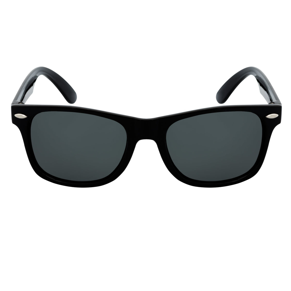 WAYFAIRE - Polarized Horn Rimmed Sunglasses Gloss Black Smoke