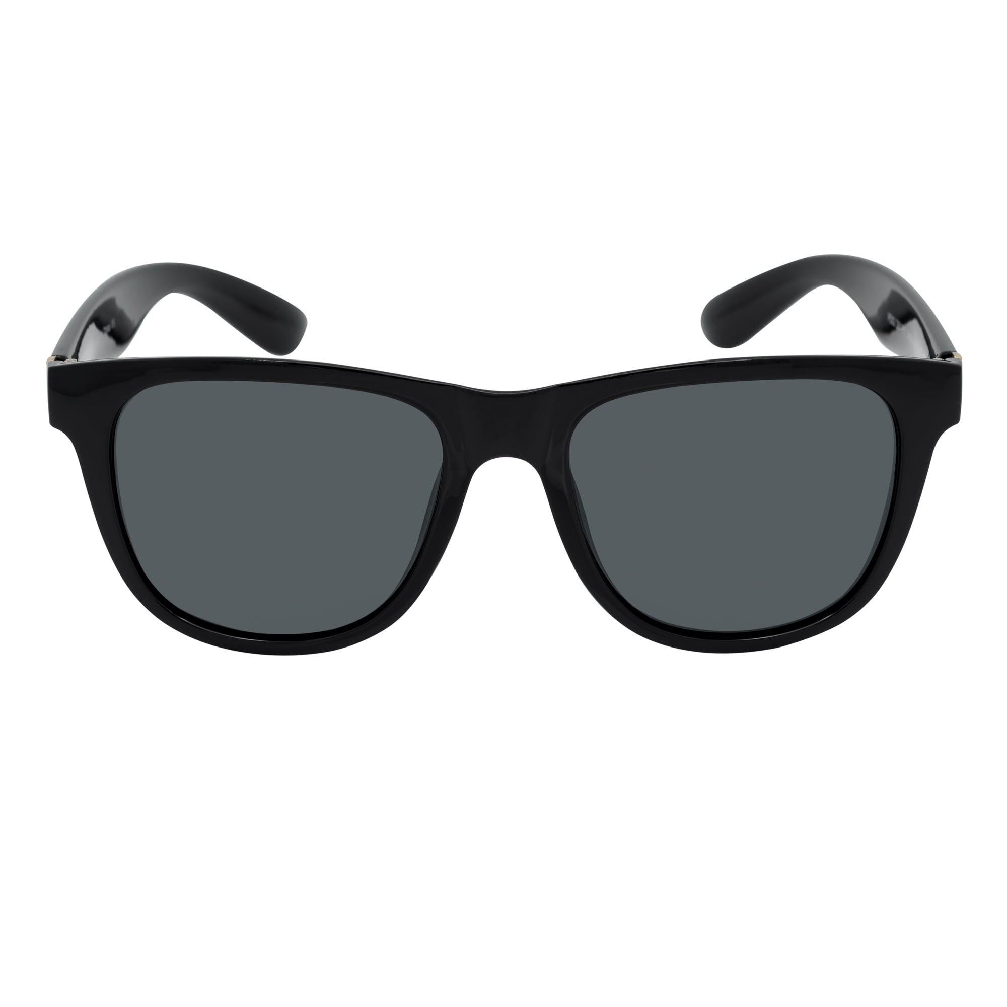 PRESTON - Polarized Large Horn Rimmed Sunglasses Gloss Black Smoke Tint