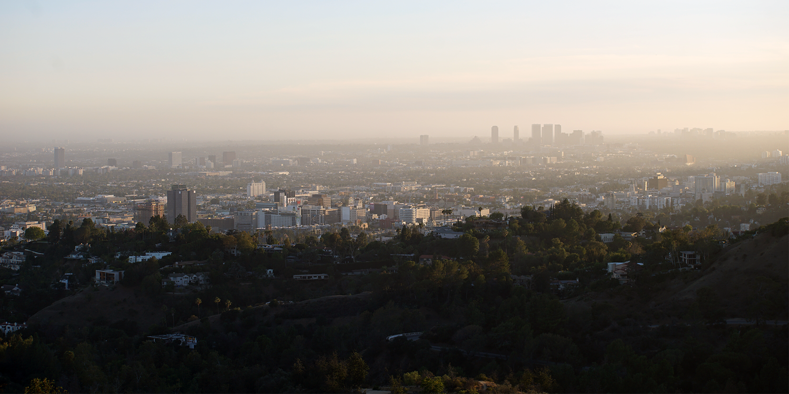 View Of Los Angeles City