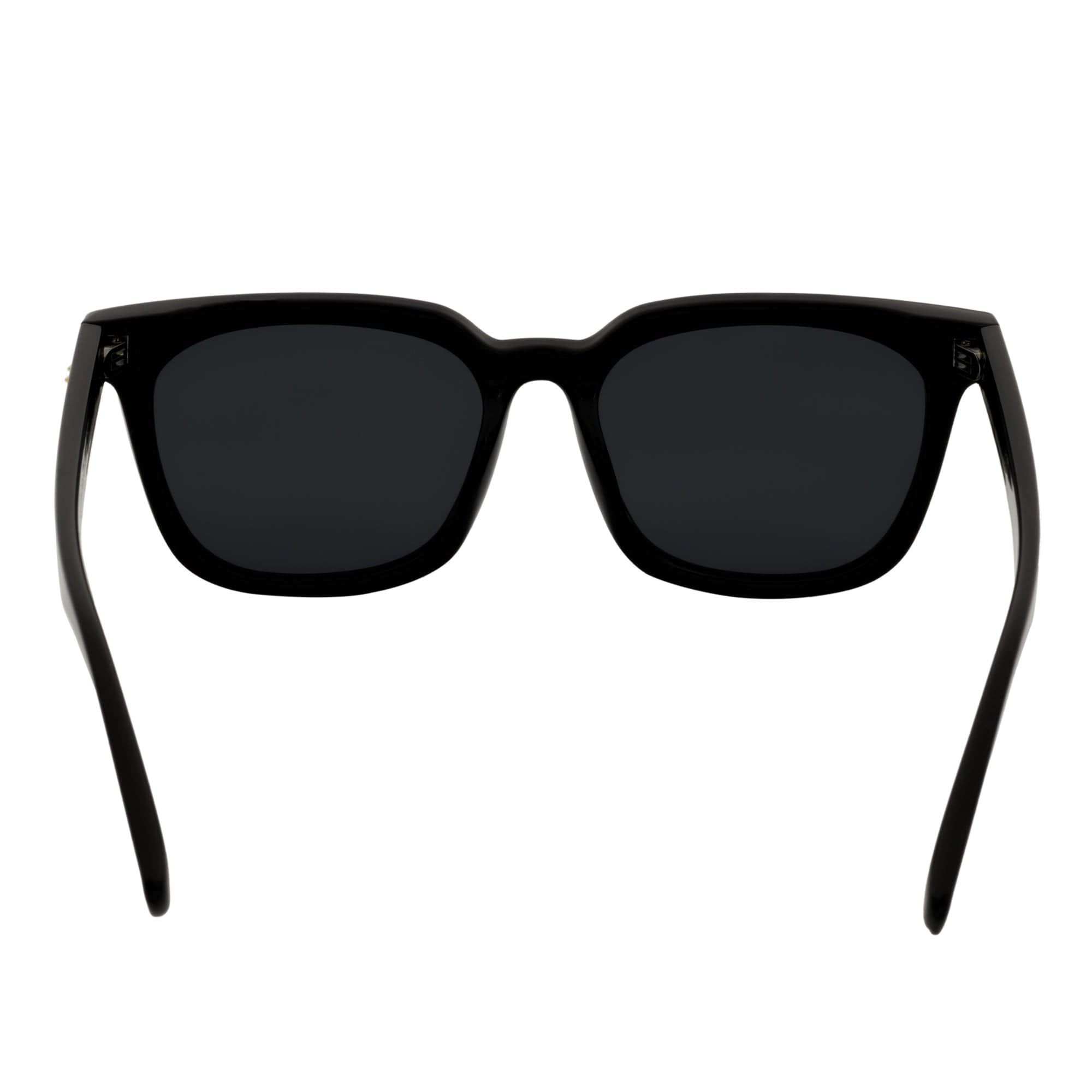 BELMONT - Polarized Classic Retro Horn Rimmed Gloss Black Smoke Tint