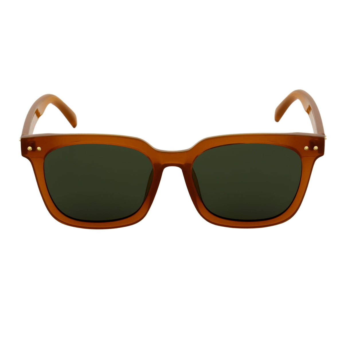 BELMONT - Polarized Classic Retro Horn Rimmed Jelly Brown Green Tint