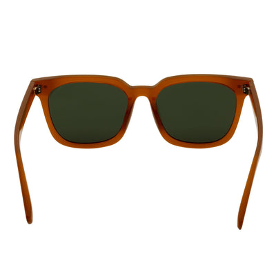 BELMONT - Polarized Classic Retro Horn Rimmed Jelly Brown Green Tint