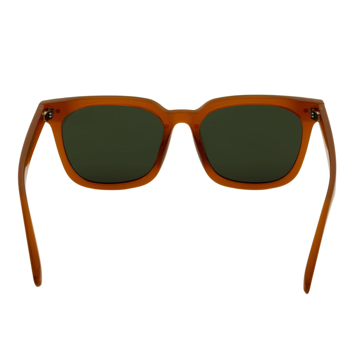 BELMONT - Polarized Classic Retro Horn Rimmed Jelly Brown Green Tint