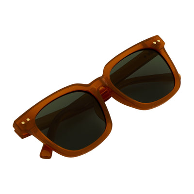 BELMONT - Polarized Classic Retro Horn Rimmed Jelly Brown Green Tint